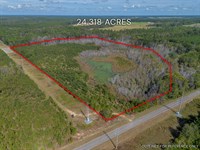 Tract 1 24.318 Acres : Jacksonville : Telfair County : Georgia