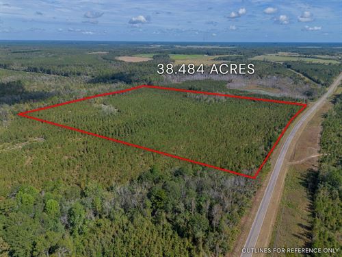 Tract 2 38.484 Acres : Jacksonville : Telfair County : Georgia