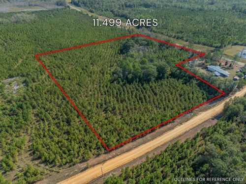 Tract 3 11.499 Acres : Jacksonville : Telfair County : Georgia