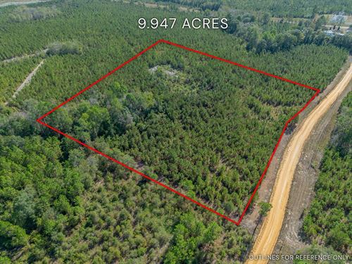 Tract 4 9.947 Acres : Jacksonville : Telfair County : Georgia