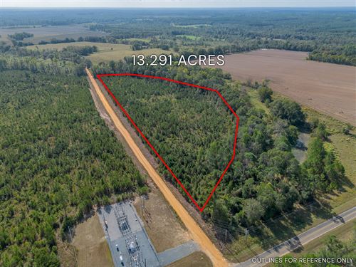 Tract 6 13.291 Acres : Jacksonville : Telfair County : Georgia