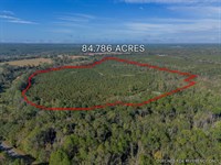 Tract 8 84.786 Acres : Jacksonville : Telfair County : Georgia
