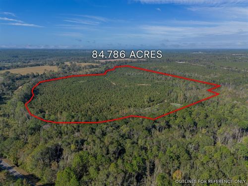 Tract 8 84.786 Acres : Jacksonville : Telfair County : Georgia
