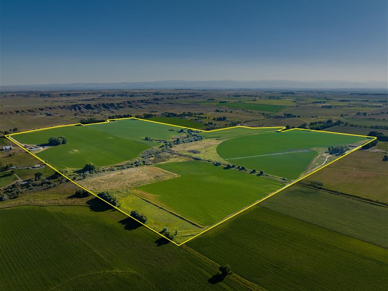 Weber Farms : Riverton : Fremont County : Wyoming