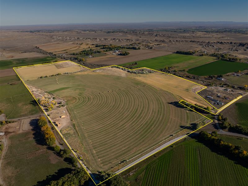 Weber Farms : Riverton : Fremont County : Wyoming