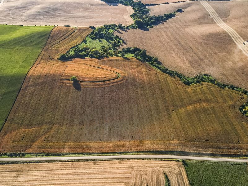 Stanton County Dryland : Stanton : Stanton County : Nebraska