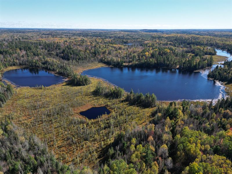 Buto Lake 390 : Republic : Marquette County : Michigan