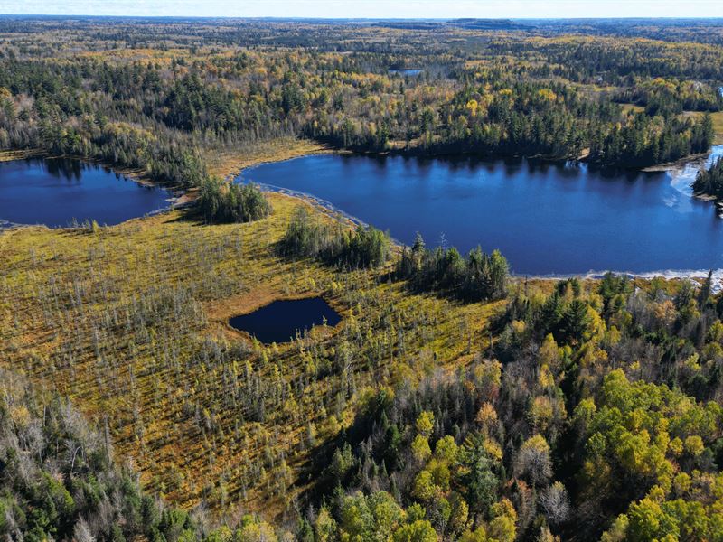 Buto Lake 390 : Republic : Marquette County : Michigan