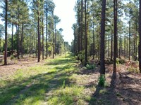 O'quinns Pond Farm, 7.13 Acres : Milledgeville : Baldwin County : Georgia