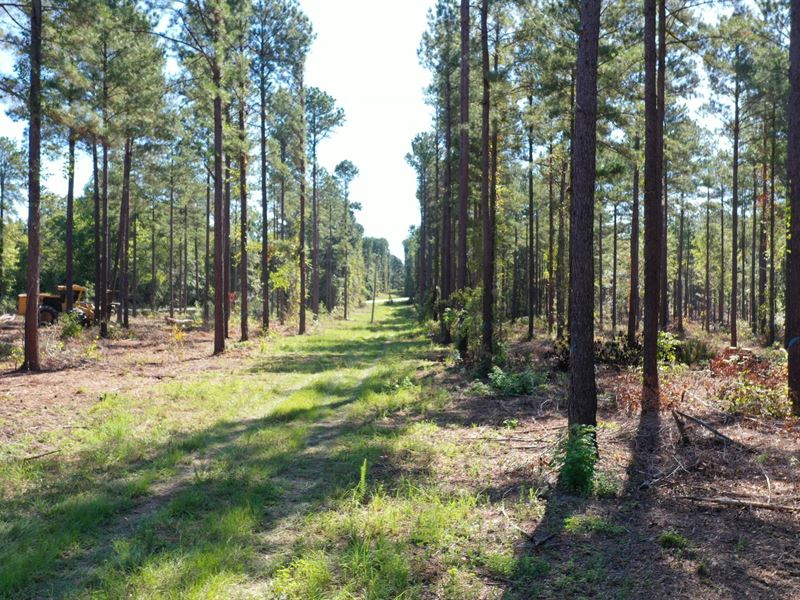 O'quinns Pond Farm, 5.49 Acres : Milledgeville : Baldwin County : Georgia