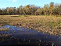Big Sandy Duck Hole : Big Sandy : Benton County : Tennessee