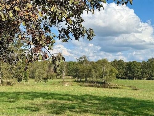 67 Acres, Horse Barn, Shop, Driller : Mountain View : Howell County : Missouri