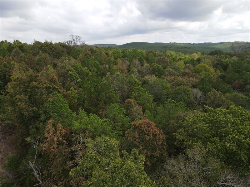 11 Acre Mini Farm Tract in Lincoln : Lincoln : Calhoun County : Alabama