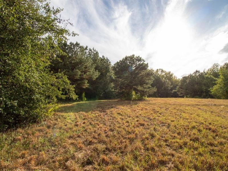 Dead Oak Tract : Senoia : Coweta County : Georgia