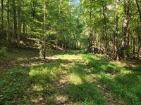 Round Oak GA Farm : Gray : Jones County : Georgia