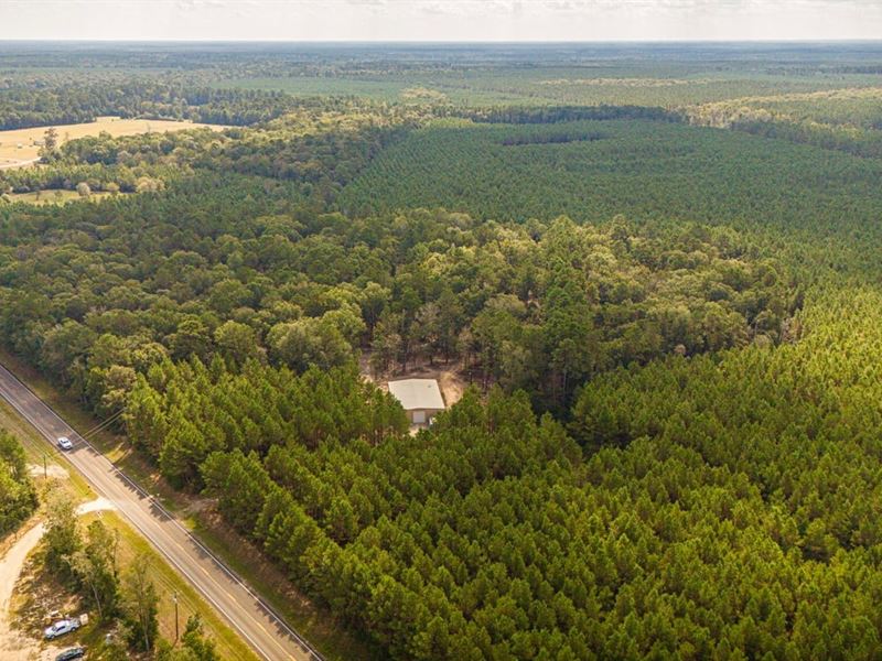 11 Acres, 2388 FM 943 : Livingston : Polk County : Texas