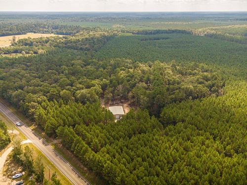 11 Acres, 2388 FM 943 : Livingston : Polk County : Texas