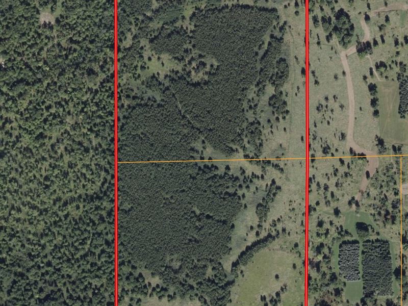 80 Acres / Arenac County / Rec : Turner : Arenac County : Michigan