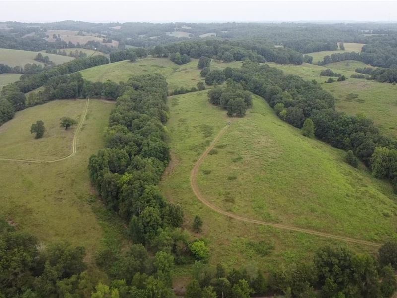 Barren Hallow 100 : Marshall : Searcy County : Arkansas