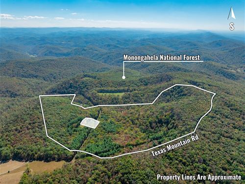 Texas Mountain Rd, 82 Acres : Parsons : Tucker County : West Virginia