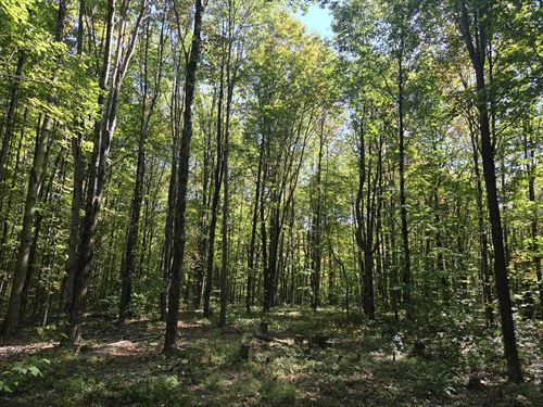 Only a Half Hour From Old Forge, NY : Steuben : Oneida County : New York