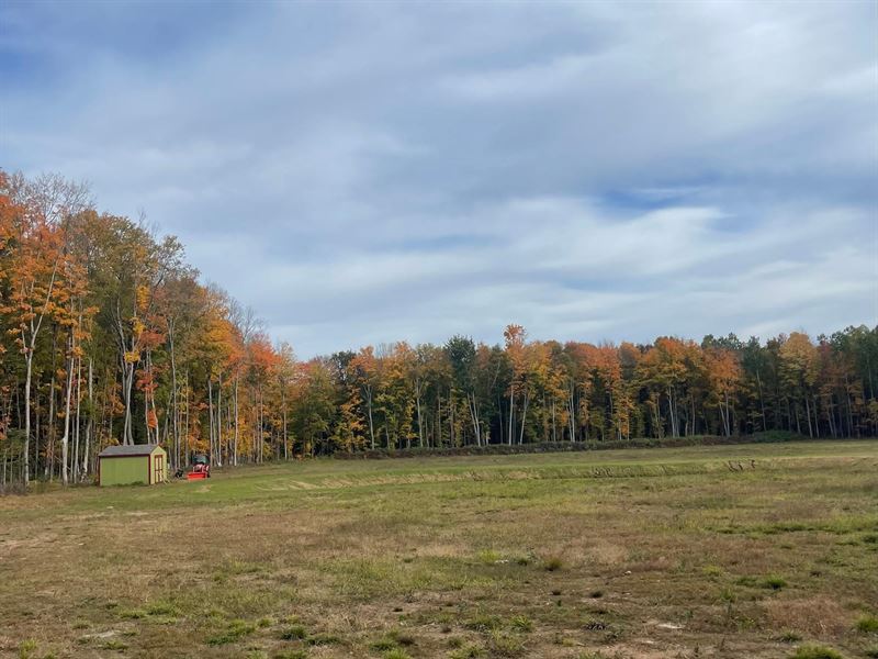 Minocqua Acreage : Minocqua : Oneida County : Wisconsin