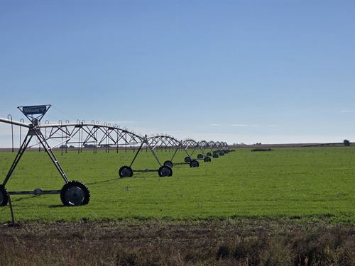 Liming Trust Land Auction : Kirk : Yuma County : Colorado