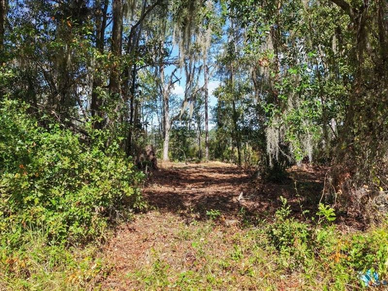 Waterfront Retreat on 9.55 Acres : Madison : Madison County : Florida