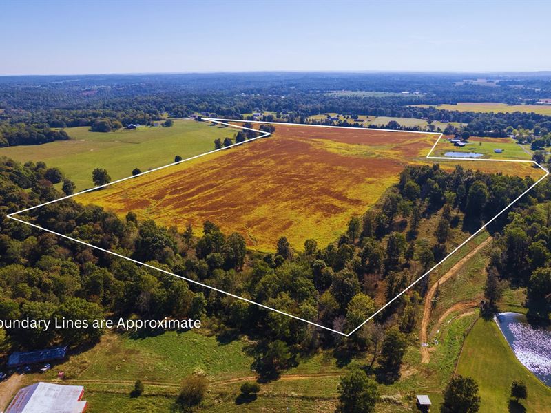 76 Acre Income-Producing Row Crop : Leitchfield : Grayson County : Kentucky