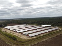 New 8 House Broiler Poultry Farm : Rochelle : Wilcox County : Georgia