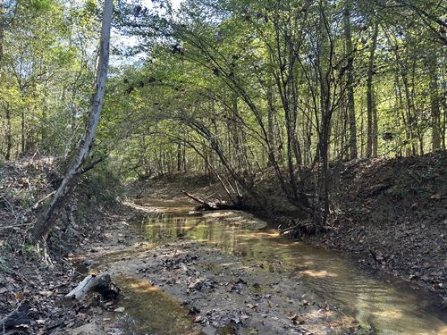 Estis Mill Creek Tract, 66 Acres : Coffeeville : Clarke County : Alabama