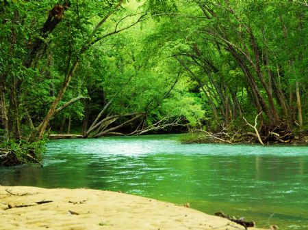 Land and Minerals 973 Acres : Clinton : Van Buren County : Arkansas