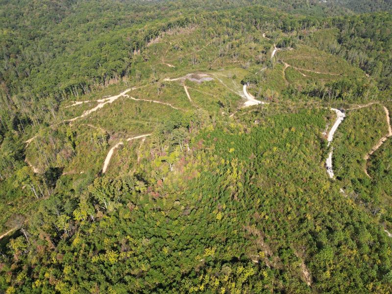 Wildcat Tract 58 : East Bernstandt : Laurel County : Kentucky