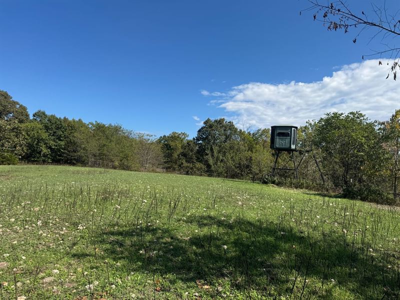 Home and Hunting Land in Highlandvi : Highlandville : Christian County : Missouri