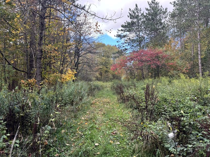 Hunting or Fishing Camp Lot : Orwell : Oswego County : New York