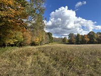 Close to Salmon River : Orwell : Oswego County : New York