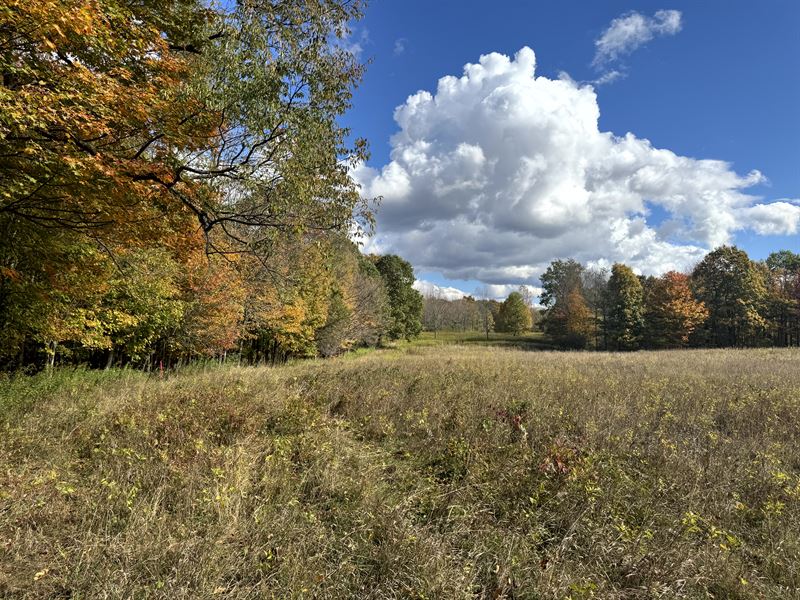 Close to Salmon River : Orwell : Oswego County : New York