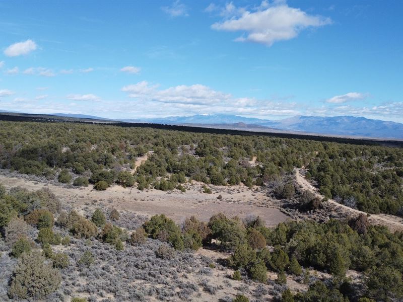 Taos Connection : Ojo Caliente : Taos County : New Mexico