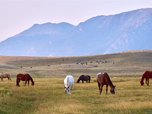 Sheep Mountain Ranch, Tract 4 : Laramie : Albany County : Wyoming