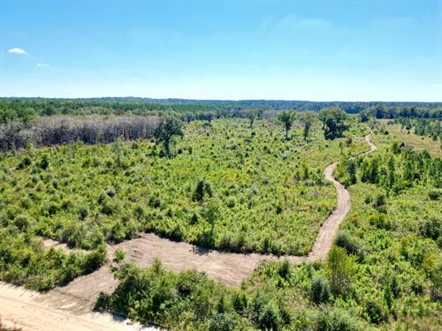 70 Acres Cal Thomas : Whigham : Grady County : Georgia