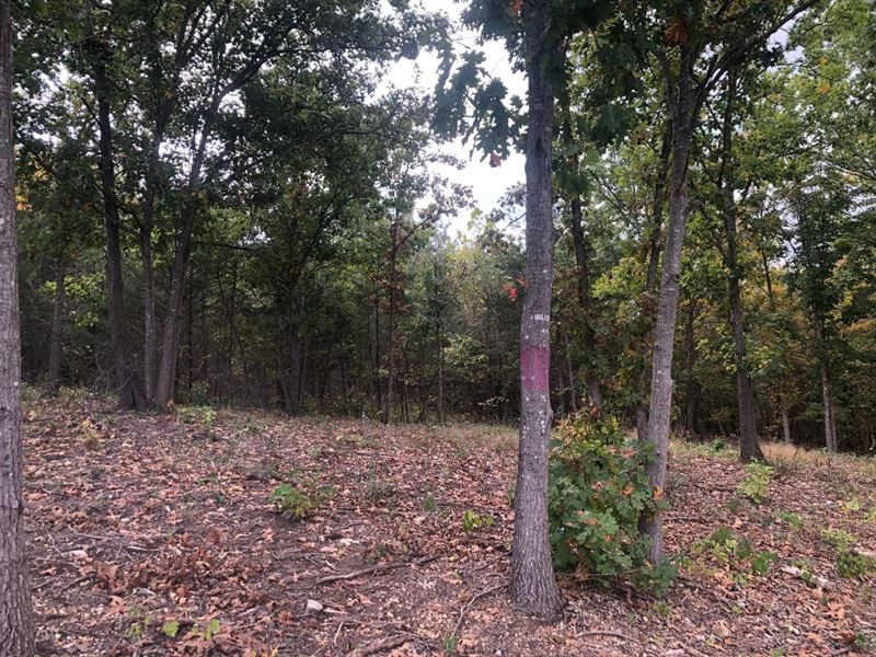 5 AC on Corner Lot in Hawks Retr : De Soto : Jefferson County : Missouri