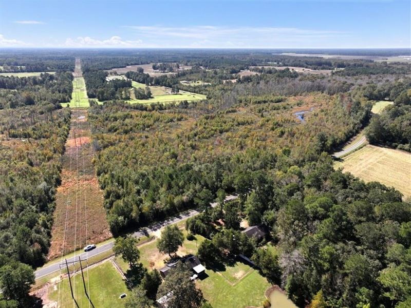 58.4 Acres of Recreational Timberla : Bladenboro : Bladen County : North Carolina