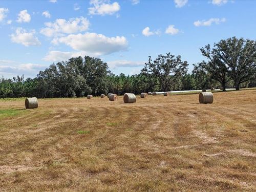 126.45 Acres of Rolling North Flori : Madison : Florida