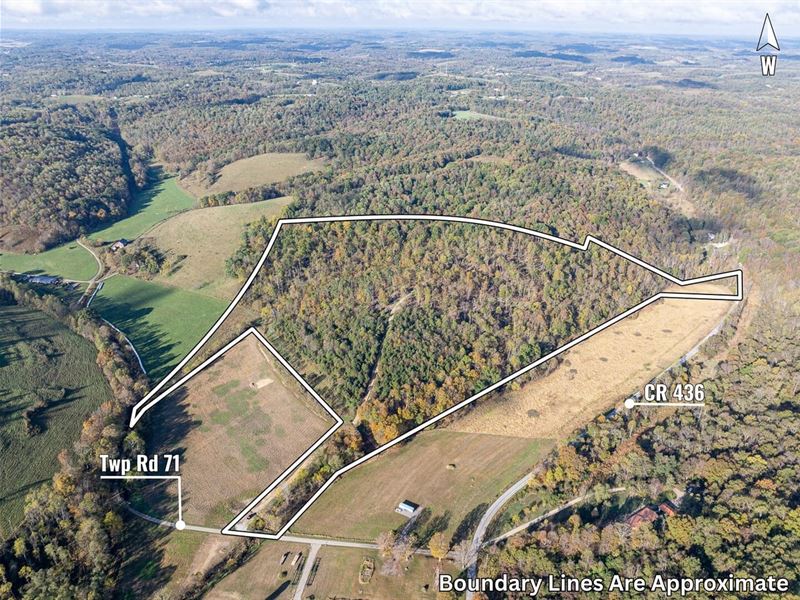 Twp Rd 71, 41 Acres : Dresden : Coshocton County : Ohio