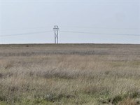 Kiowa County Grassland : Haswell : Kiowa County : Colorado