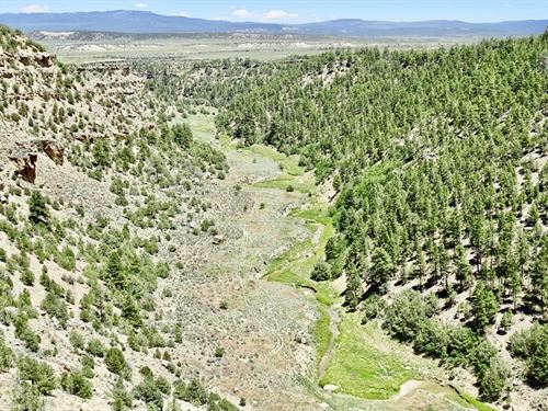 Cross Canyon Ranch : Cebolla : Rio Arriba County : New Mexico