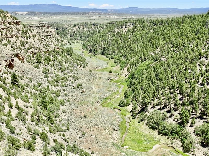 Cross Canyon Ranch : Cebolla : Rio Arriba County : New Mexico