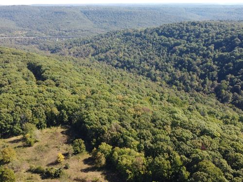 Woods Rd Getaway : Winslow : Washington County : Arkansas