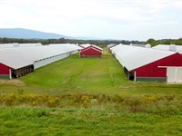 Arkansas Poultry Farm, 8 Mega Hses : Mansfield : Sebastian County : Arkansas
