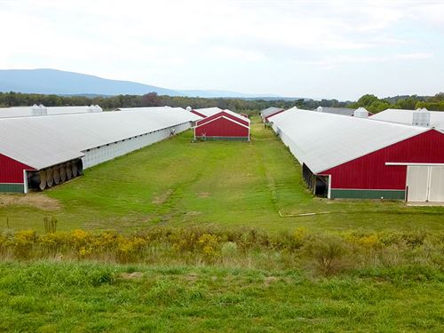 Arkansas Poultry Farm, 8 Mega Hses : Mansfield : Sebastian County : Arkansas